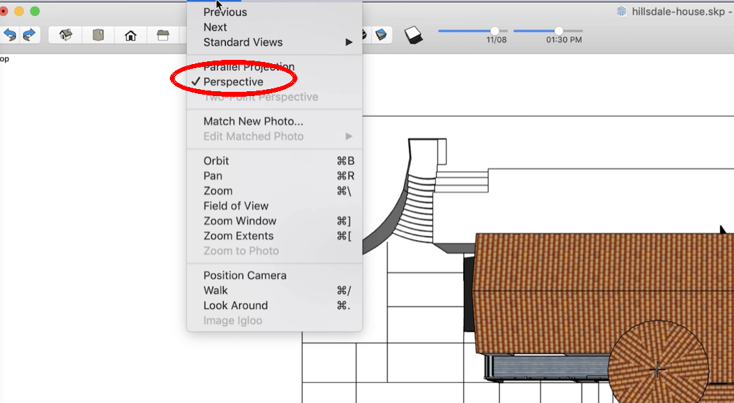 Toggling Perspective on and off from the Camera menu